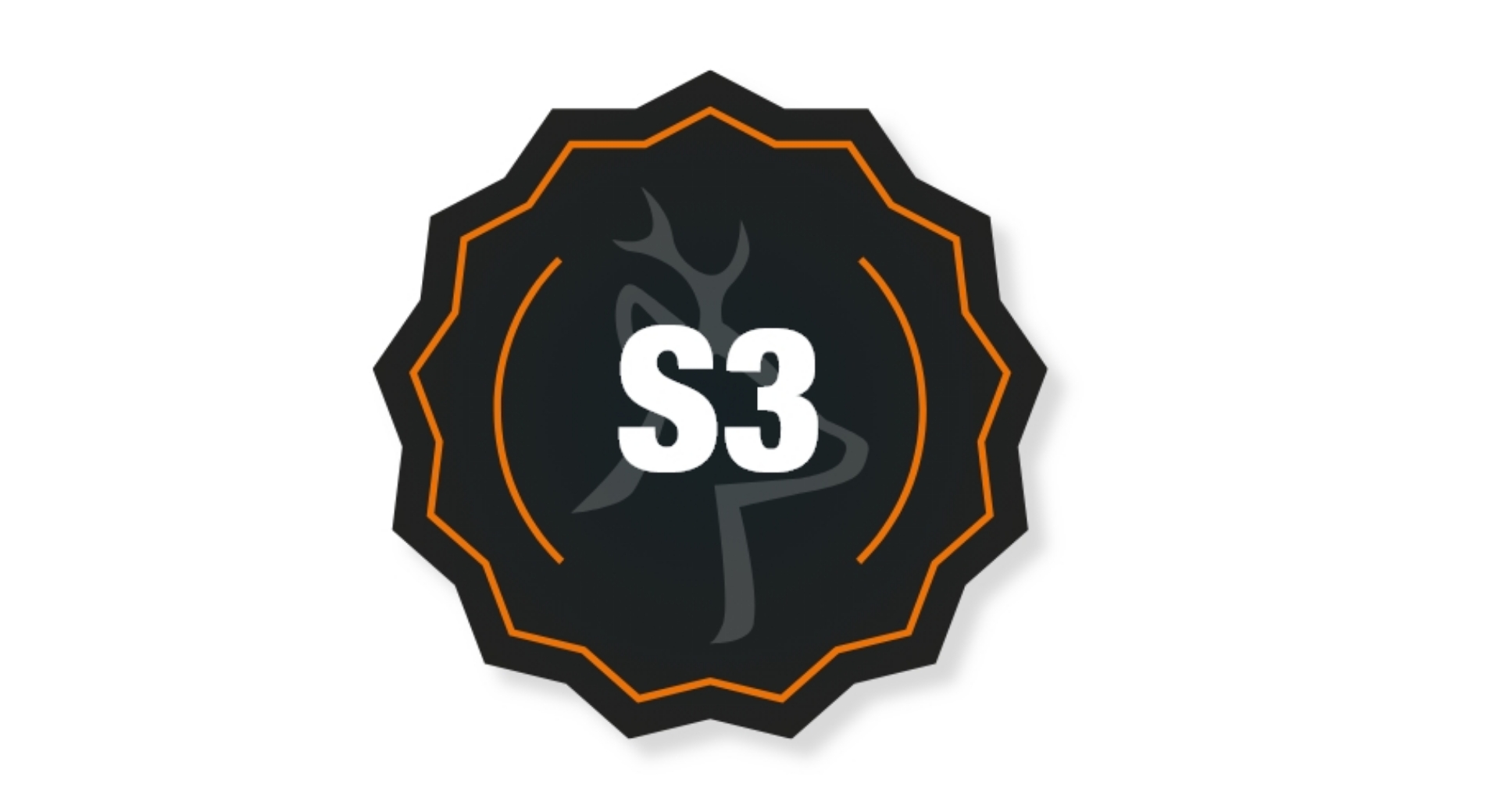 S3 