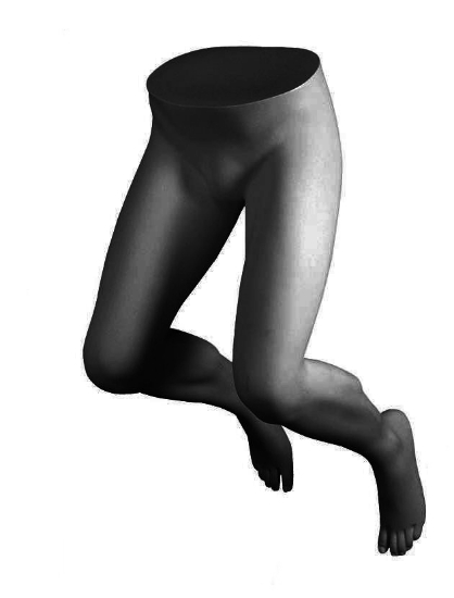 Bild von MANNEQUIN LEGS