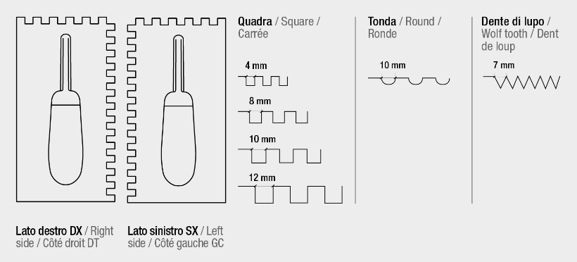Types de dents fractales