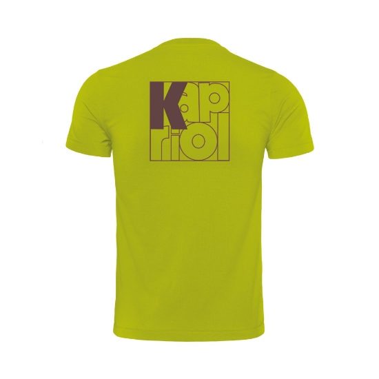 Maglietta a maniche corte Enjoy_verde mela_retro