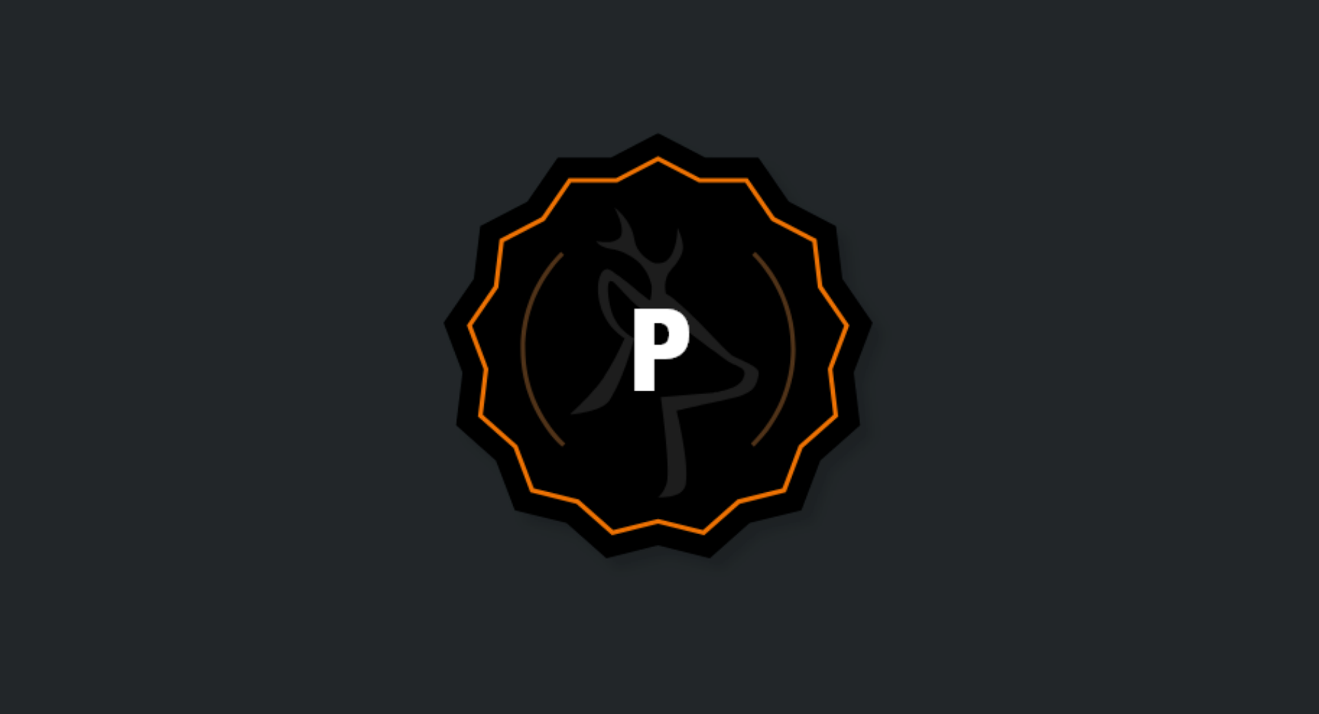 Requisiti aggiuntivi - P