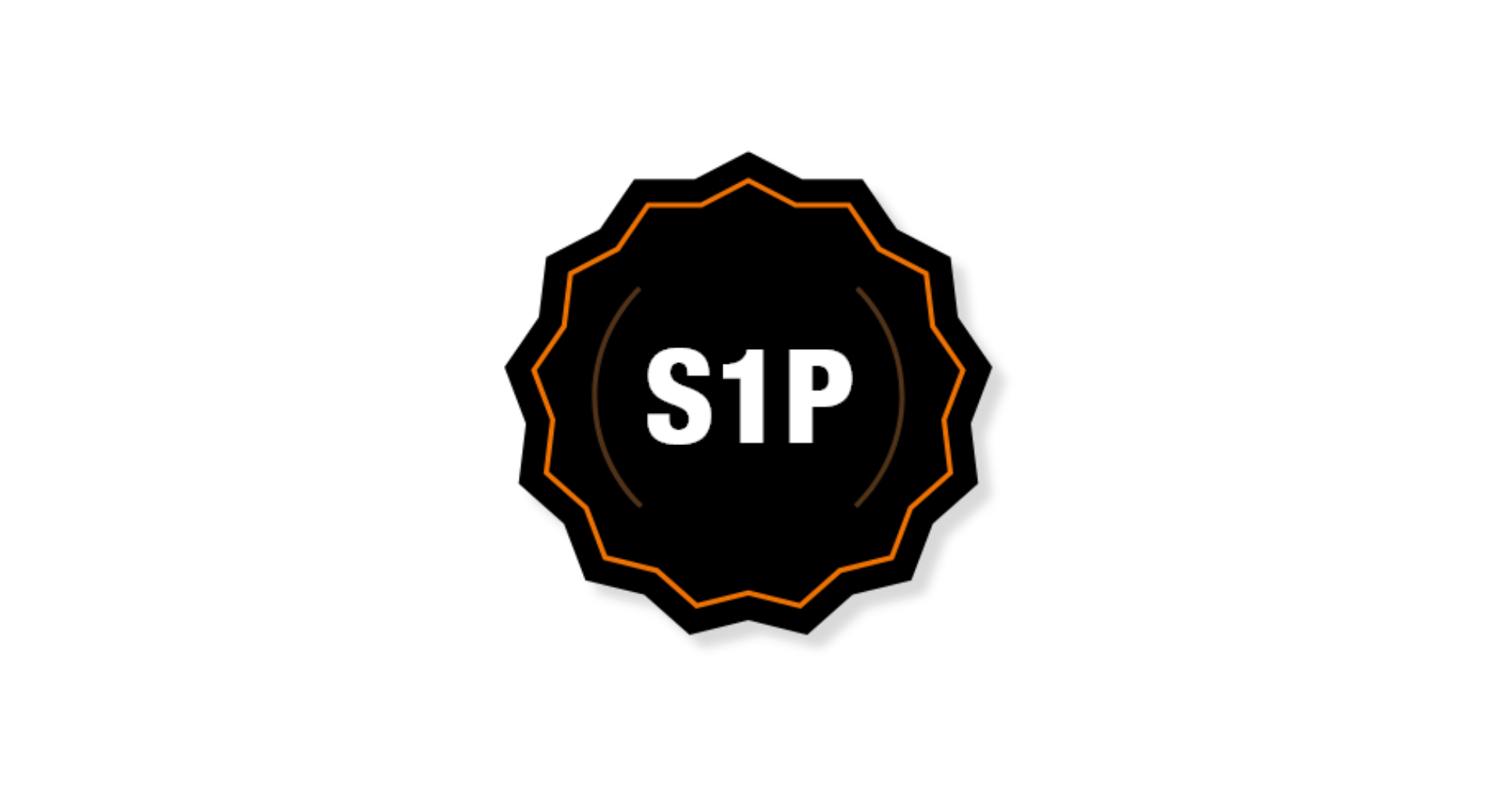 Classi di sicurezza - S1P